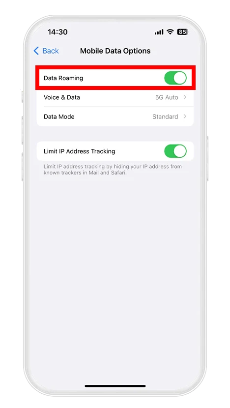 Data roaming eSIM